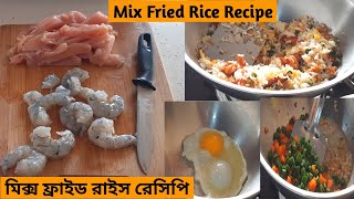 মিক্স ফ্রাইড রাইস রেসিপি | Mix Fried Rice Recipe | Chicken, Prawn, Egg, Vegetable Fried Rice Recipe