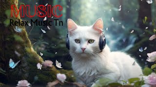 Purr-fect Harmony: Soothing Melodies with Adorable Cats