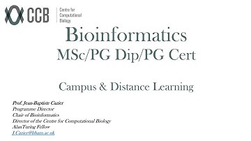 Discover MSc Bioinformatics at University of Birmingham