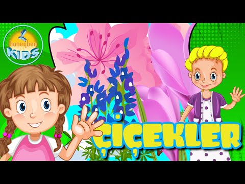 Çiçekler 🌼🌻| Çocuk Şarkıları | Bebek Şarkıları | Honeybee Kids