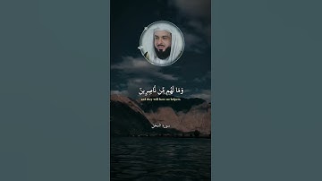 الراحة النفسية تلاوة مؤثرة ||خالد الجليل ||حالات واتس اب قرآن كريم