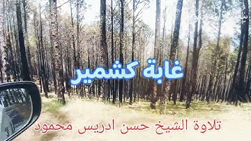 الشيخ حسن ادريس محمود سورة المؤمنون | القرآن الكريم