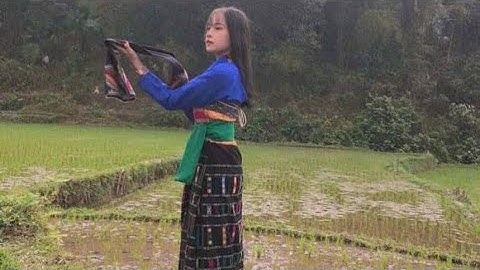 Tổng hợp khắp Thái hay nhất| ຂັບໄຕແດງ ຂັບຊຳເໜືອ ขับชำเหนือ | Phần 495 | Cuộc sống văn hoá người Thái