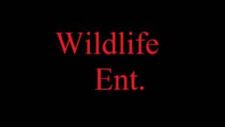 Wildlife Ent