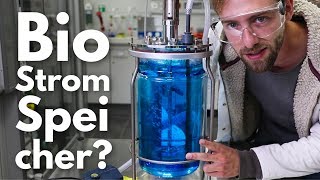 Biologische Stromspeicher... geht das? [Fast Forward Science 2018]