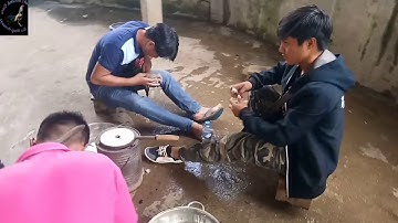 Coj nej nrog peb los mus saib peb piv qaib ntau nawj 5/7/2019