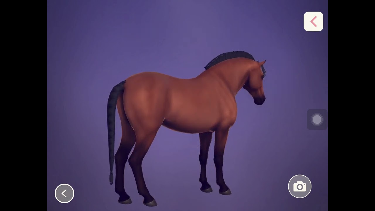 Equestrian the game Breeding first crossbreed foal! YouTube