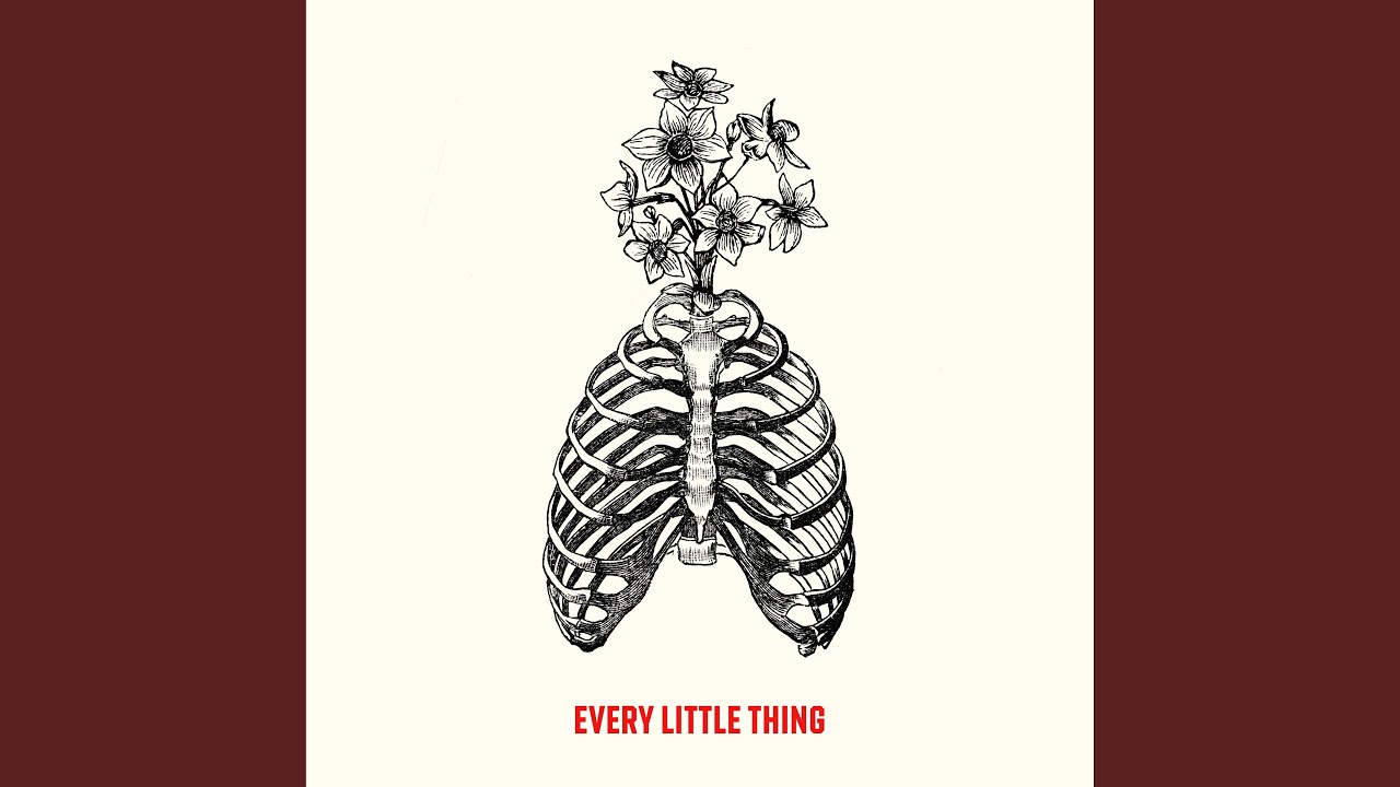 every little thing - YouTube