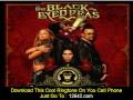 Disco Club  Black Eyed Peas Monkey Business lyrics mp3 music video ringtone