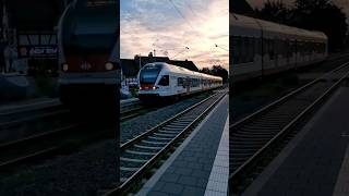 Ein SBB Stadler Flirt "Seehas" nach Konstanz kommt beim Haltepunkt Allensbach an | #shorts