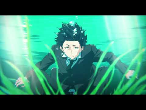 Birds AMV