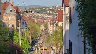 Straßenbahngewusel Im Stuttgarter Westen