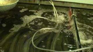 Guangzhou seafood restaurant