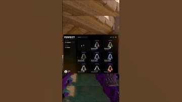 MELHOR SKIN CHANGER PARA CS2