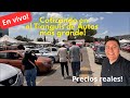 V Seccion está en vivo desde Venta de Carpio ¿Hay buenos precios aquí? 🤔