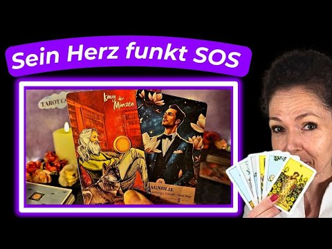 সূরা ফাতিহা আয়াতুল কুরসি ৩কুল | Surah Fatiha Ayatul kursi 3qul | quran recitation | Alaa Aqel |