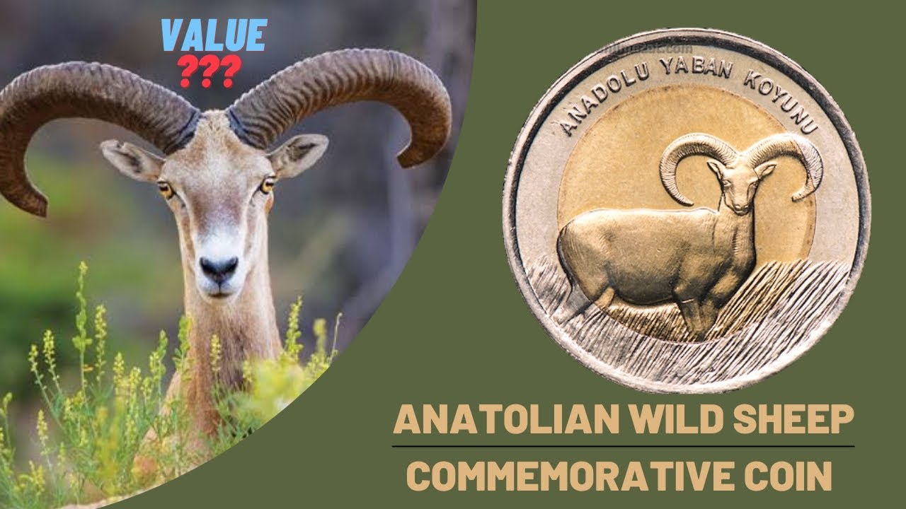 ANIMAL THEMED COINS - ANATOLIAN WILD SHEEP (COINS COLLECTION)