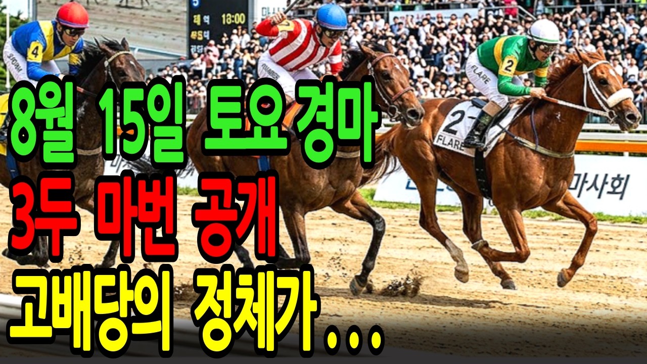8월 15일 토요일 경마~ 고배당의 정체가 드러났다. 이 영상 하나로 끝내세요. ㅣ승전경마 전문가의 이변 포착 l 경마 l 경마예상 l 코리아레이스 l 검빛경마 ㅣ경마정보
