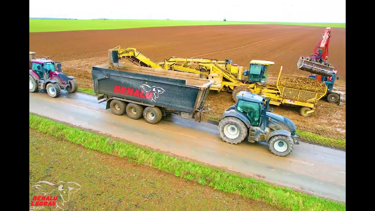 Transport de betteraves en remorque agricole AGRIALU-BENALU