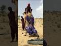 تحدي جريء في الصحراء زوجة تتعلق مقلوبة بذيل الجمل بشجاعة مذهلة حياة الجمال الطبيعة جرأة مرح