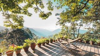 Silent Trail Sanctuary | Homestay | Retreat | Advert | Nishant Singhani Silent Trail Sanctuary | Homestay | Retreat | Advert | Nishant Singhani