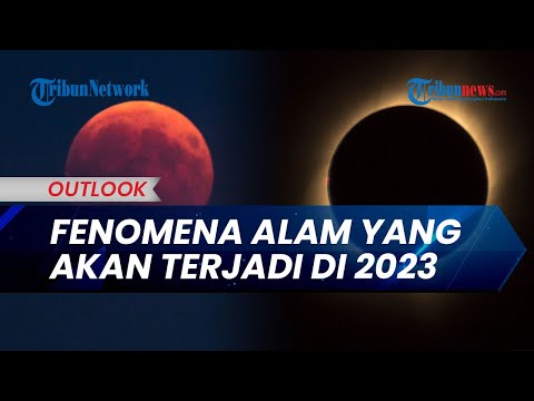 Video: Di mana bulan di langit sekarang?