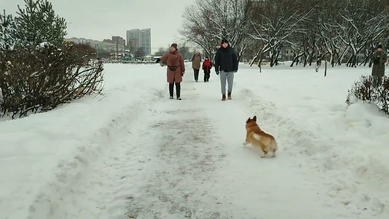 КМС - 223 (вк-86).