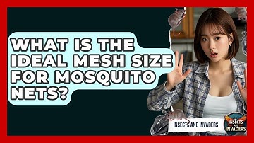 What Is The Ideal Mesh Size For Mosquito Nets? - Insects and Invaders