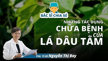 Tác Dụng Chữa Bệnh Lá DÂU TẰM Hóa Ra Đây Là Thần Dược Mạnh Dạn Phơi Khô Nấu Nước Uống