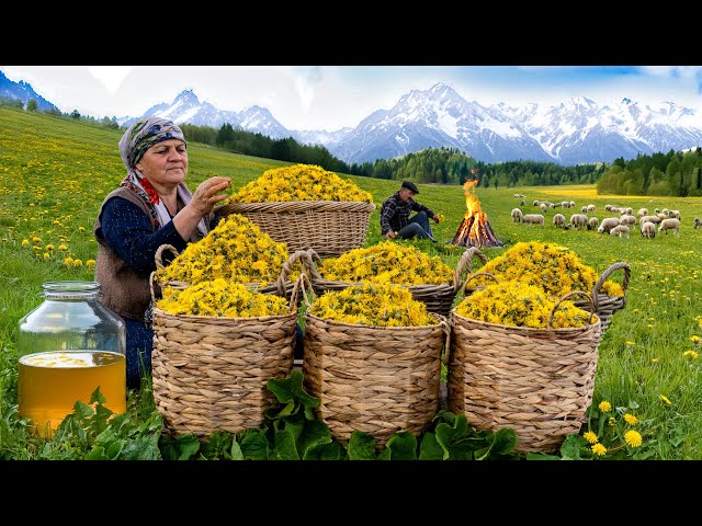 🌶 Nature's Sweetness: Preparing Dandelion Syrup in the Mountains | ASMR video class=