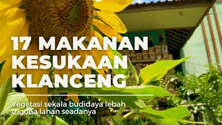 17 VEGETASI KESUKAAN LEBAH TRIGONA / KLANCENG. edisi lahan sempit