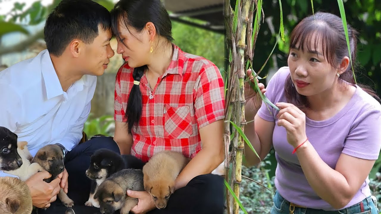 From Harvest to Drama: Selling Calabash at the Market While the Husband’s Lover Grows Uneasy