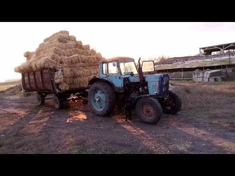 Выгрузка соломы 250 тюков
