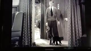 Night Must Fall 1937 Robert Montgomery and the kitty cat. Great music by Edward Ward. Night Must Fall 1937 Robert Montgomery and the kitty cat. Great music by Edward Ward.