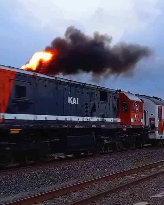 Video clip Kereta Api Babaranjang | kereta api | CC 205 | CC 202 | #shorts
