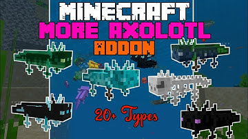 Minecraft PE Mod - More Axolotl Types Add-On] Version 1.17✔