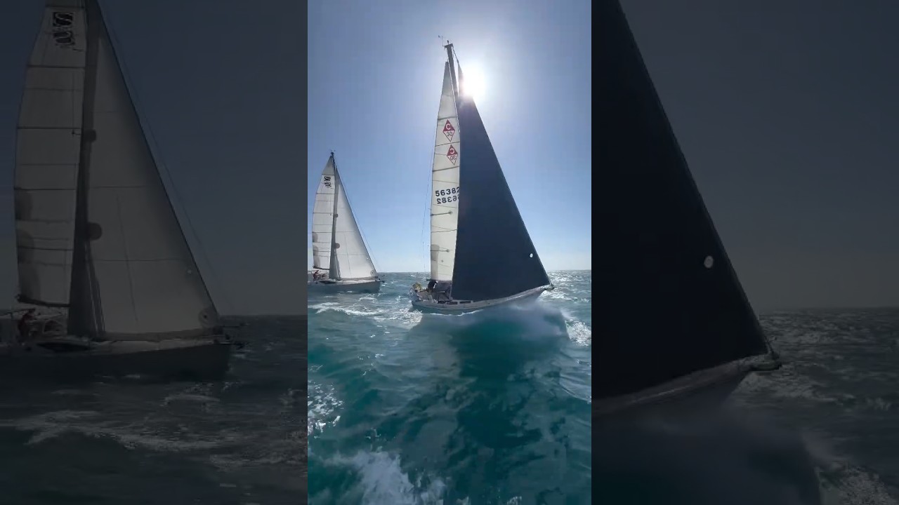 ⛵️Fast ⛵️Rough⛵️Race⛵️