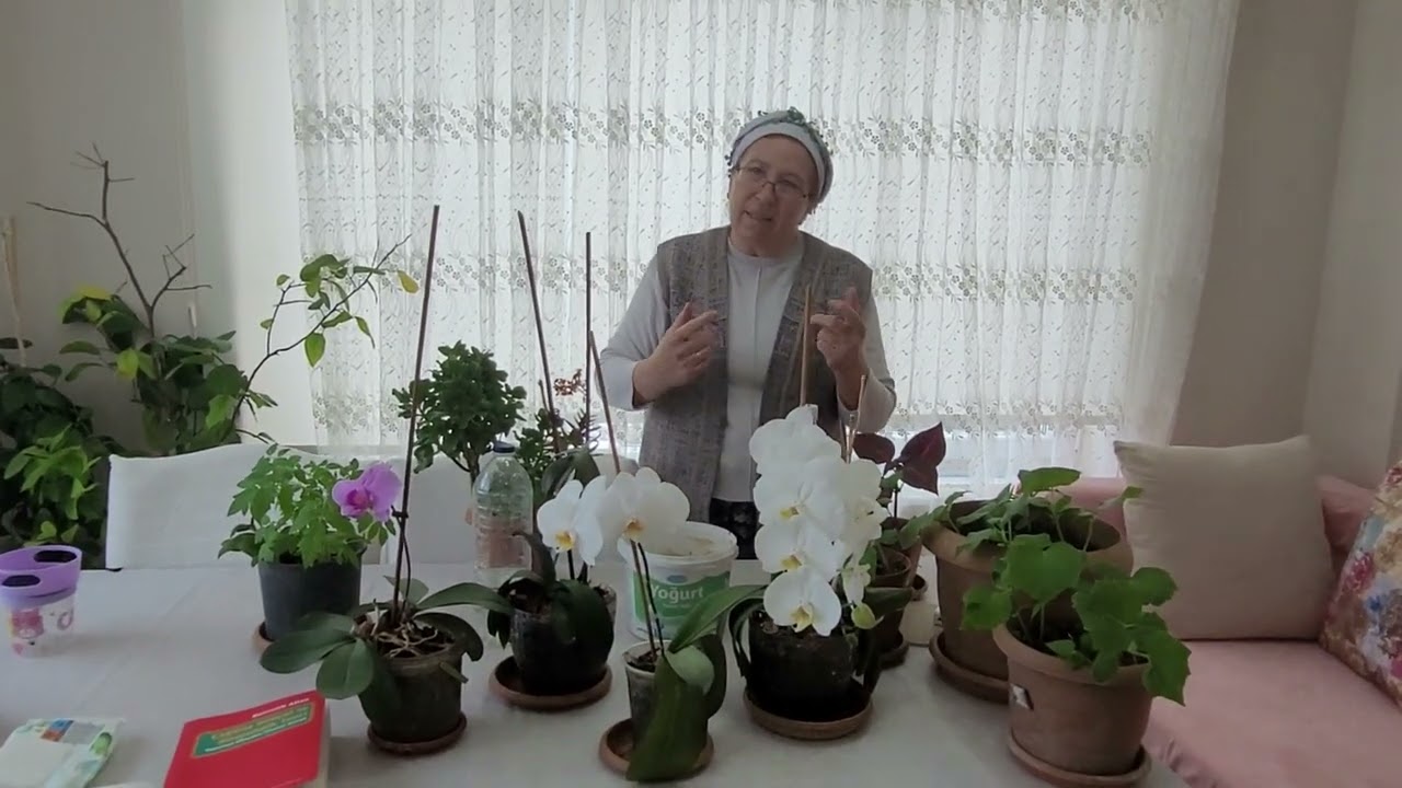 ORKIDELERE EV YAPIMI  VITAMIN,GUBRE NASIL YAPILIR....