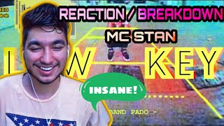 MC STΔN - LOWKEY |  MUSIC VIDEO | 2K19 | REACTION | PROFESSIONAL MAGNET |