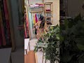 Sree Alannkar | Best Saree & Jewelry Store In Bachupally | Customized Designs | Boutique Services