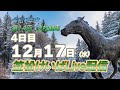 笠松けいばライブ配信R7.12.17