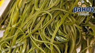 Какая морская капуста полезна для здоровья? - Утро с Интером Какая морская капуста полезна для здоровья? - Утро с Интером