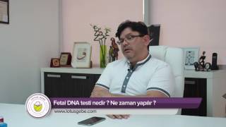 Fetal Dna Testi̇ Nedi̇r? Ne Zaman Yapilir ?