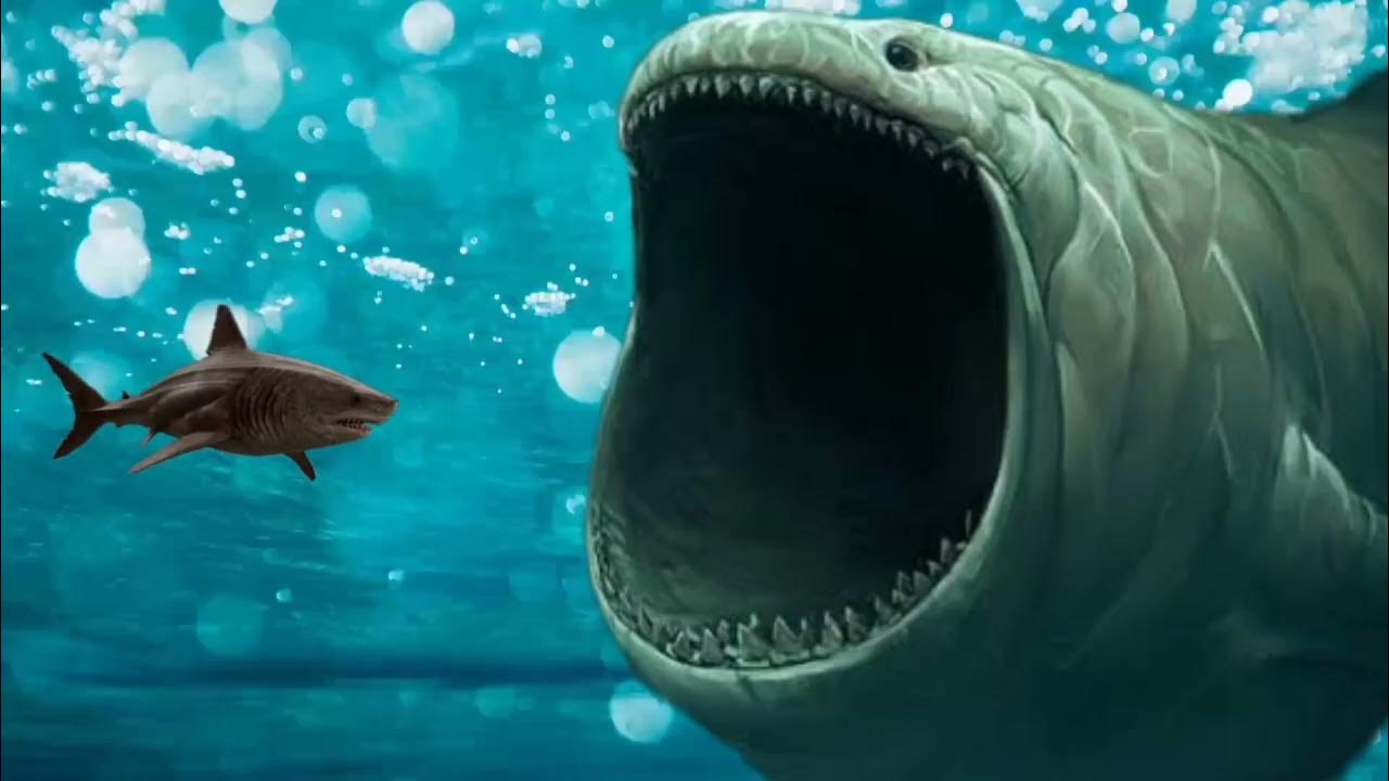 700 Orca VS The Meg VS The Bloop (Real Finale) - YouTube