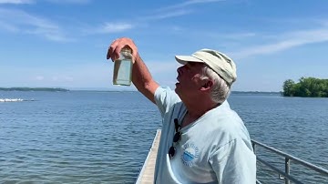 Cyanobacteria Monitoring in Vermont