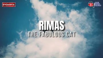 Rimas - Fabulous Cat - Lirik Video