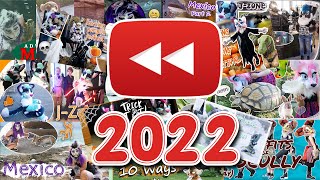 Furry Time Youtube Rewind 2022