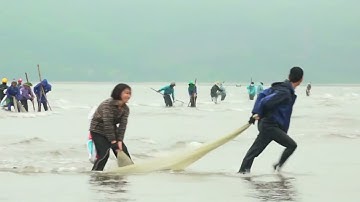 HÀ TĨNH: HÀNG TRĂM NGƯ DÂN HỐI HẢ CÀO ỐC RUỐC DẠT BỜ BIỂN | Tinnong24g