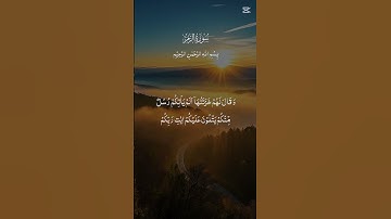 سورة الزمر#القرآن_الكريم #راحة_نفسية