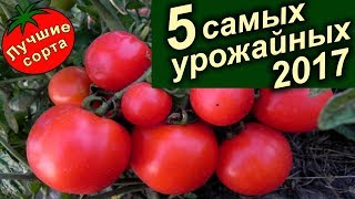видео Какие семена помидор урожайные и низкорослые?